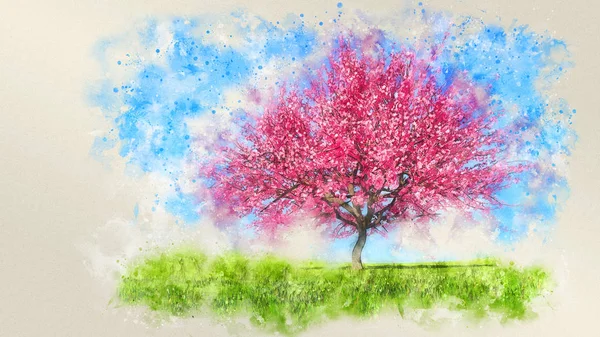 Aquarell-Skizze eines einzelnen blühenden Kirschbaums — Stockfoto