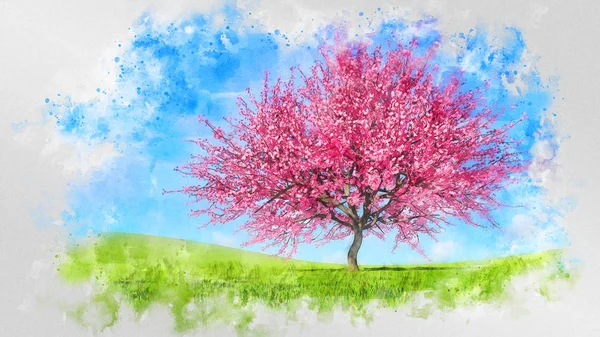 満開の桜の水彩画スケッチ ロイヤリティフリーのストック写真