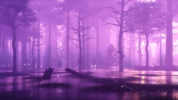 Természetfeletti tündér Firefly fények szárnyaló a levegőben egy mocsaras misztikus erdőben sötét ködös éjszaka. Álomszerű erdők táj cinemagraph stílusban renderelt 3D animáció 4k