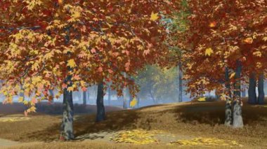 Sonbahar yaprakları doğal ıssız sonbahar parkı veya ormanda yavaş hareket renkli akçaağaç ağaçlarından düşen. Hiçbir kişi 4k işlenen sezon gerçekçi 3d animasyon düşmek ile