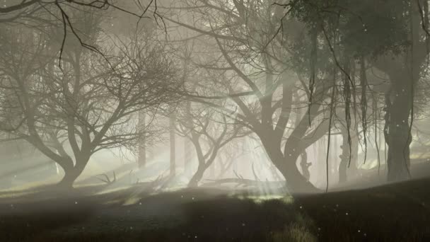 Paisaje Bosque Cuento Hadas Con Luces Luciérnaga Mágicas Volando Aire — Vídeos de Stock