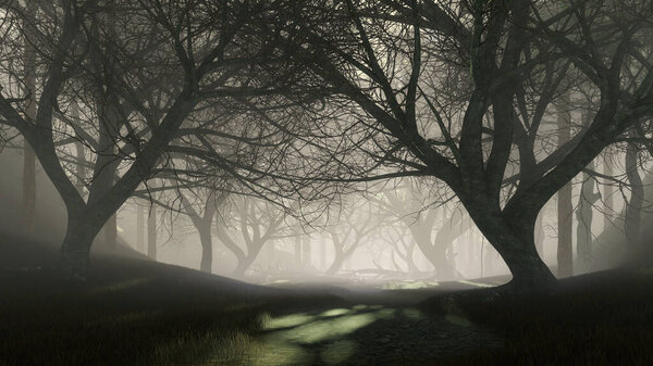 Trail into dark mysterious forest with last sun rays shining through creepy dead trees silhouettes at misty dusk or night. Fantasy woodland scenery 3D illustration from my rendering file.