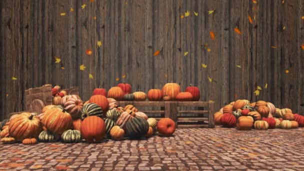 秋の紅葉と暗い木製の壁の背景に農家の市場で販売するための様々なカラフルなカボチャ 感謝祭とハロウィーンのコンセプト4Kでレンダリングされたテキストのための場所と3Dアニメーション — ストック動画