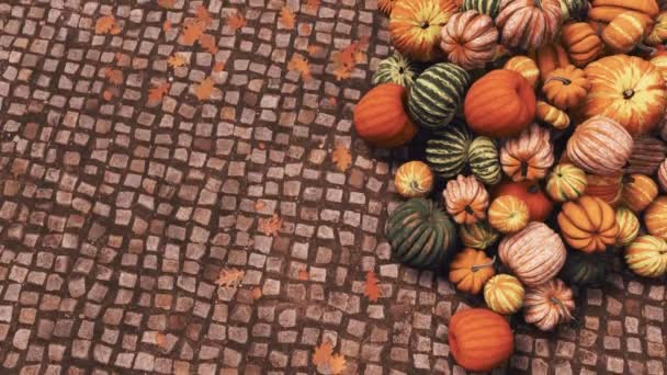 Close Top View Colorful Autumn Pumpkins Farmers Market Piled Cobblestone — Stock Video