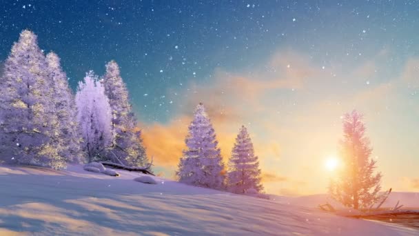 Fir Tree Forest Covered Snow Slight Snowfall Scenic Sunset Sunrise — Stock Video