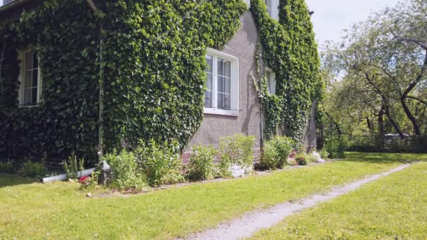 Binnenplaats Van Gezellige Klimop Overdekte Landelijke Huis Met Muren Bedekt — Stockvideo