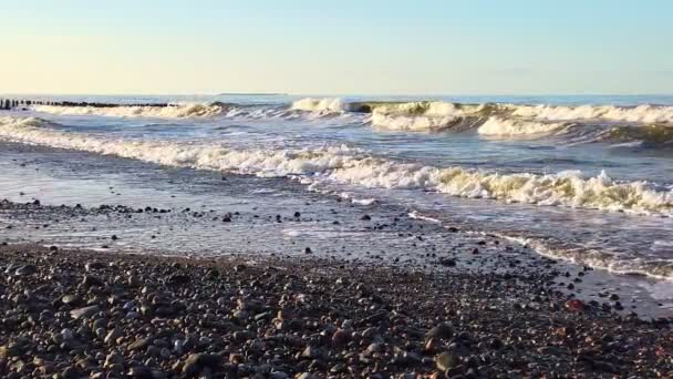 Stormy Waves Foam Rolling Wet Pebble Stone Beach Coast Baltic — Stock Video