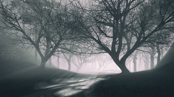 Fantasy woodland landscape with overgrown trail into a dark mystical forest and sun rays shining through creepy dead tree silhouettes at foggy dawn or dusk. 3D illustration from my rendering file.
