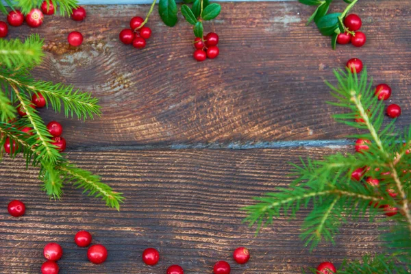 Spruce Branch Red Cranberry Dark Rustic Wooden Background Christmas Floral — Stock Photo, Image