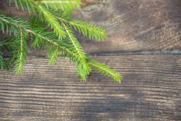 Christmas Tree Branch Spruce Branch Dark Rustic Wooden Background Christmas — Stock Photo, Image