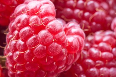 Bir sürü kırmızı ahududu. Makro fotoğraf. Üst görünüm