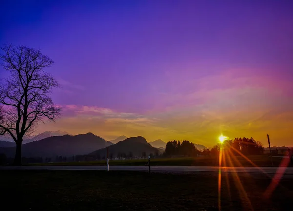 Sunset in the German Alps with a violet sky and reflections of the yellow sun falling on the grass