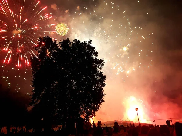 Büyük bir ağacın arkasında gece havai fişek