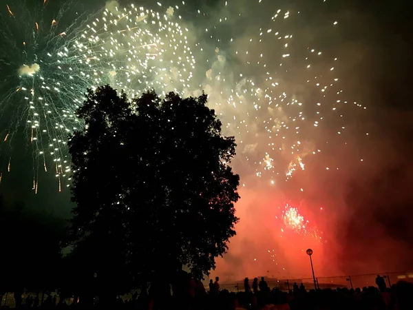 Büyük bir ağacın arkasında gece havai fişek