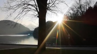 Gün batımında bir göle yaklaşırken hareket ile Alman Alpleri'nde Video ağaç dalları arasında güneş sıçramaları ise