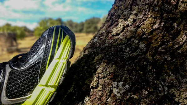 Bir ağaçta ön planda ayakkabı koşu