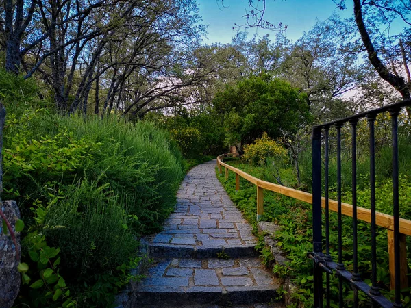 Steinweg zwischen grünen Gärten — Stockfoto