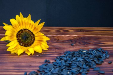 ahşap arka plan, ayçiçeği tohumu ve ayçiçeği