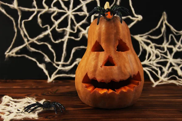 Halloween Dekoration Pumpa Spindlar Webb — Stockfoto