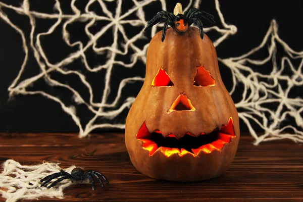 Halloween Dekoration Pumpa Spindlar Webb — Stockfoto