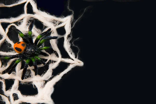 Halloween Decoration Spiders Web — Stock Photo, Image