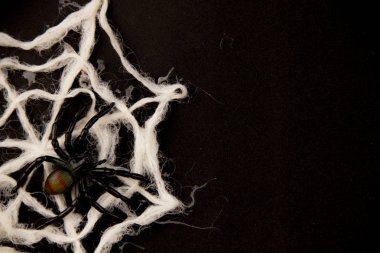 örümcek ile siyah bir arka plan üzerinde spiderweb. Arka plana benziyor.