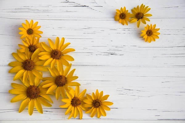 Fleurs Jaunes Sur Fond Clair Bois Images De Stock Libres De Droits