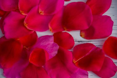 Hafif ahşap arka planda gül yaprakları. Bir arka plan gibi görünüyor.