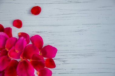 Hafif ahşap arka planda gül yaprakları. Bir arka plan gibi görünüyor.