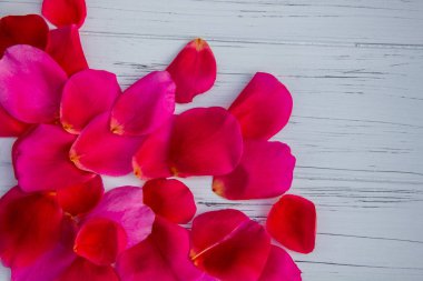 Hafif ahşap arka planda gül yaprakları. Bir arka plan gibi görünüyor.