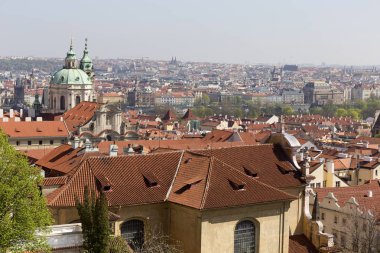 Doğa ve çiçekli ağaçlar, Çek Cumhuriyeti Prag şehir bahar yeşil ile görüntüleyin