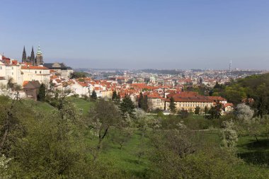 Doğa ve çiçekli ağaçlar, Çek Cumhuriyeti Prag şehir bahar yeşil ile görüntüleyin