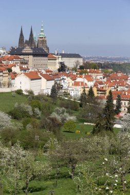 Doğa ve çiçekli ağaçlar, Çek Cumhuriyeti Prag şehir bahar yeşil ile görüntüleyin