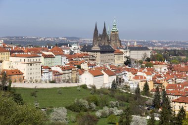 Doğa ve çiçekli ağaçlar, Çek Cumhuriyeti Prag şehir bahar yeşil ile görüntüleyin