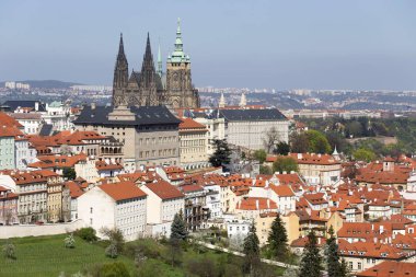 Doğa ve çiçekli ağaçlar, Çek Cumhuriyeti Prag şehir bahar yeşil ile görüntüleyin