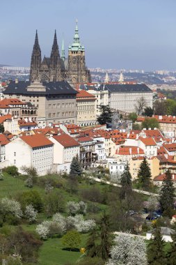 Doğa ve çiçekli ağaçlar, Çek Cumhuriyeti Prag şehir bahar yeşil ile görüntüleyin