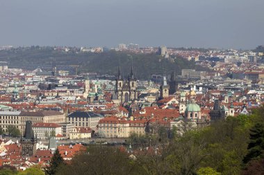 Doğa ve çiçekli ağaçlar, Çek Cumhuriyeti Prag şehir bahar yeşil ile görüntüleyin
