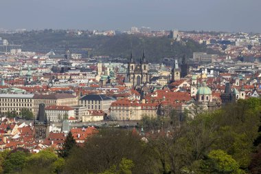 Doğa ve çiçekli ağaçlar, Çek Cumhuriyeti Prag şehir bahar yeşil ile görüntüleyin