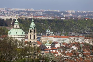 Doğa ve çiçekli ağaçlar, Çek Cumhuriyeti Prag şehir bahar yeşil ile görüntüleyin