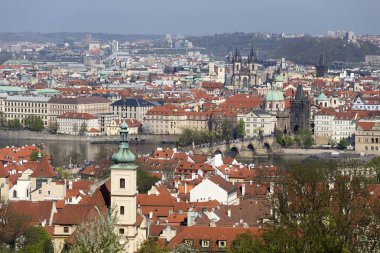 Doğa ve çiçekli ağaçlar, Çek Cumhuriyeti Prag şehir bahar yeşil ile görüntüleyin