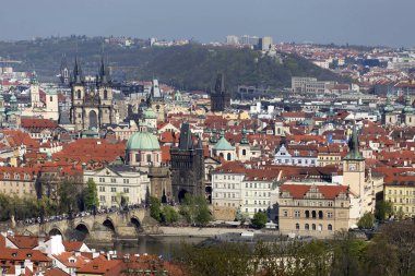 Doğa ve çiçekli ağaçlar, Çek Cumhuriyeti Prag şehir bahar yeşil ile görüntüleyin