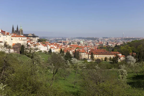 Doğa ve çiçekli ağaçlar, Çek Cumhuriyeti Prag şehir bahar yeşil ile görüntüleyin