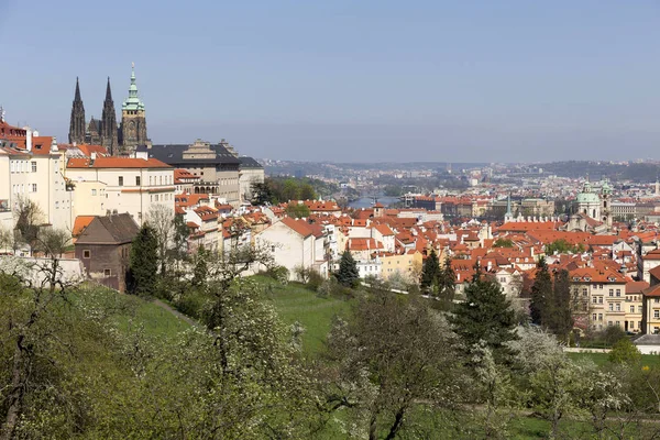 Vista Sulla Primavera Città Praga Con Natura Verde Alberi Fioriti — Foto Stock