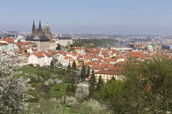 Vue Sur Printemps Prague City Avec Nature Verte Les Arbres — Photo