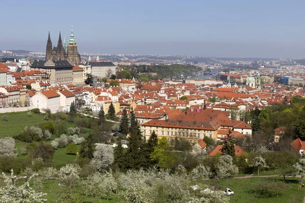 查看上春天布拉格城市与绿色的自然和开花树木 捷克共和国 — 图库照片
