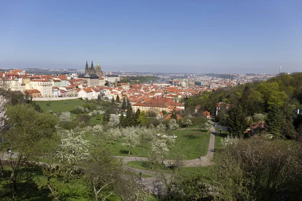 Vue Sur Printemps Prague City Avec Nature Verte Les Arbres — Photo