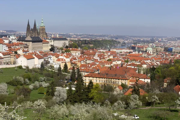 Visa Våren Prague City Med Gröna Naturen Och Blommande Träd — Stockfoto
