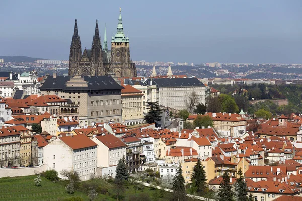 Nézd Prague City Tavasszal Zöld Természet Virágzó Fák Cseh Köztársaság — Stock Fotó