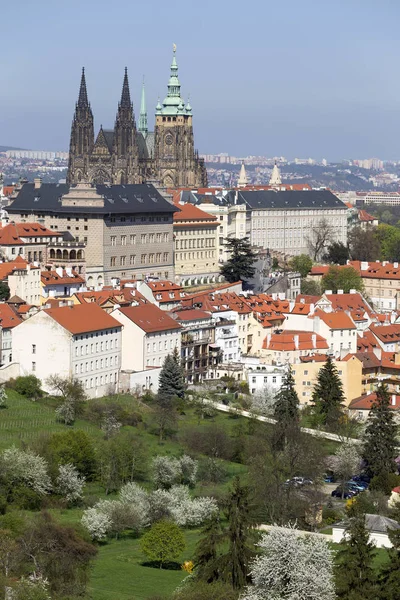 Doğa ve çiçekli ağaçlar, Çek Cumhuriyeti Prag şehir bahar yeşil ile görüntüleyin