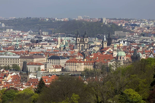 Doğa ve çiçekli ağaçlar, Çek Cumhuriyeti Prag şehir bahar yeşil ile görüntüleyin